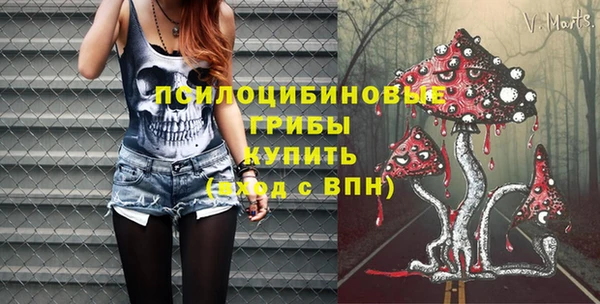 PSILOCYBIN Лагань